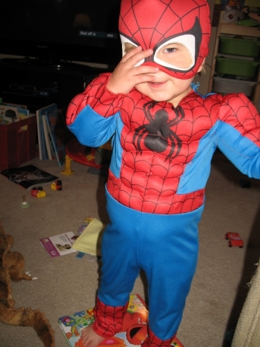 Linus as Spider Man
