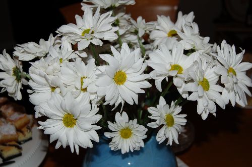 Daisies