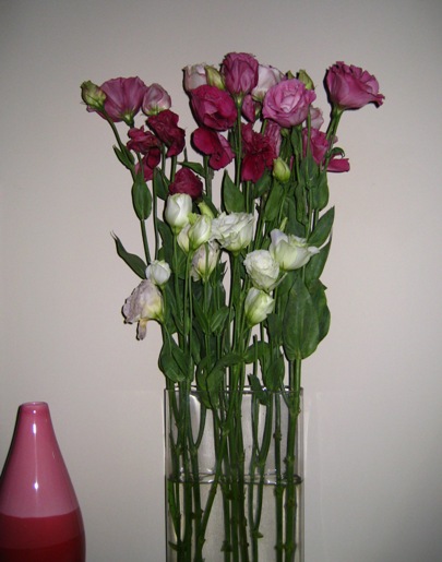 Roses and Ranunculus
