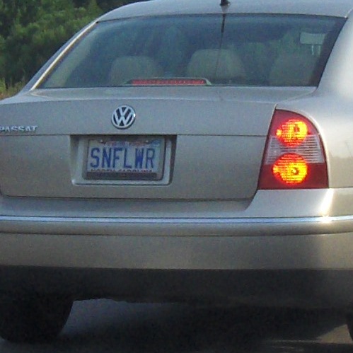 SNFLWR