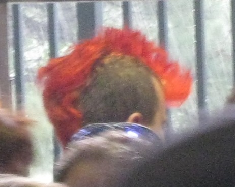 Rooster comb