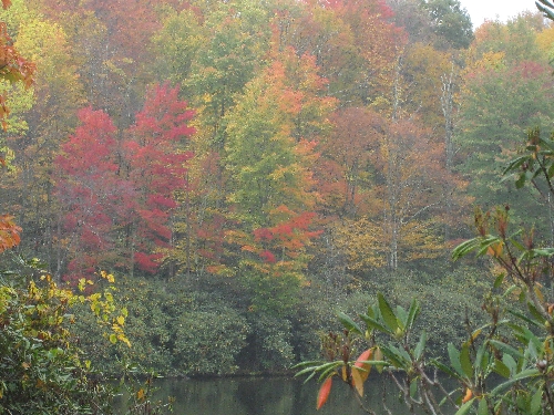 Colors at Price Lake