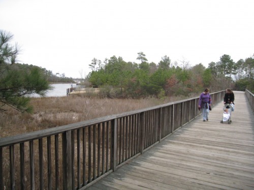 The boardwalk at the Virginia Aquarium