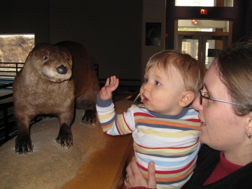 Should I otter touch that, Mommy?