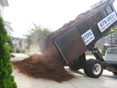 Dumping Mulch