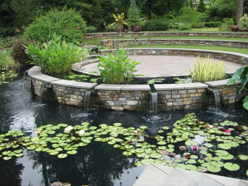 Duke Gardens Pond