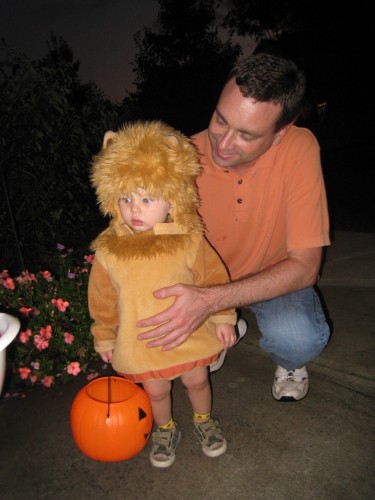 Lion Costume