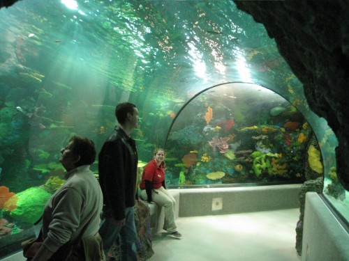 Walk-through Tropical Aquarium